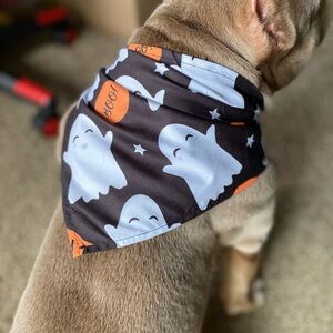 We have these beautiful handkerchiefs for Halloween celebrations